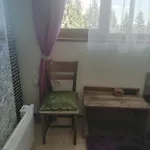 апартамент,студио милка 17,в х росица, за и туризъм,целогодишно Apartment