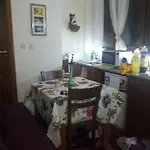 апартамент,студио милка 17,в х росица, за и туризъм,целогодишно Apartment *