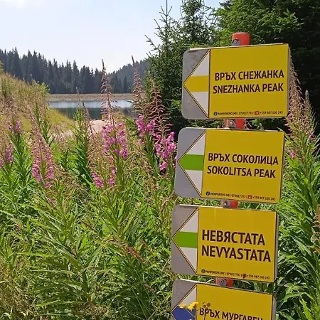 апартамент,студио милка 17,в х росица, за и туризъм,целогодишно Lägenhet Pamporovo