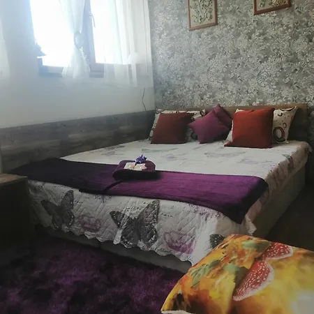 апартамент,студио милка 17,в х росица, за и туризъм,целогодишно Apartment *
