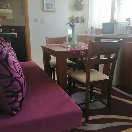 Apartment апартамент,студио милка 17,в х росица, за и туризъм,целогодишно *