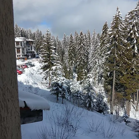 Lägenhet апартамент,студио милка 17,в х росица, за и туризъм,целогодишно *