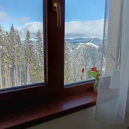 апартамент,студио милка 17,в х росица, за и туризъм,целогодишно * Pamporovo