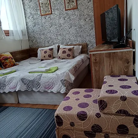 апартамент,студио милка 17,в х росица, за и туризъм,целогодишно Apartment