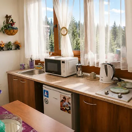 Apartmán апартамент,студио милка 17,в х росица, за и туризъм,целогодишно