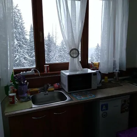 апартамент,студио милка 17,в х росица, за и туризъм,целогодишно Apartmán *