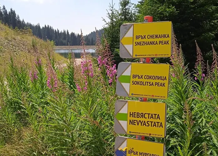 апартамент,студио милка 17,в х росица, за и туризъм,целогодишно Lägenhet Pamporovo