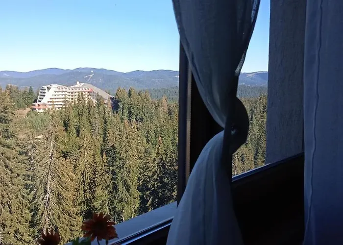 апартамент,студио милка 17,в х росица, за и туризъм,целогодишно Lägenhet