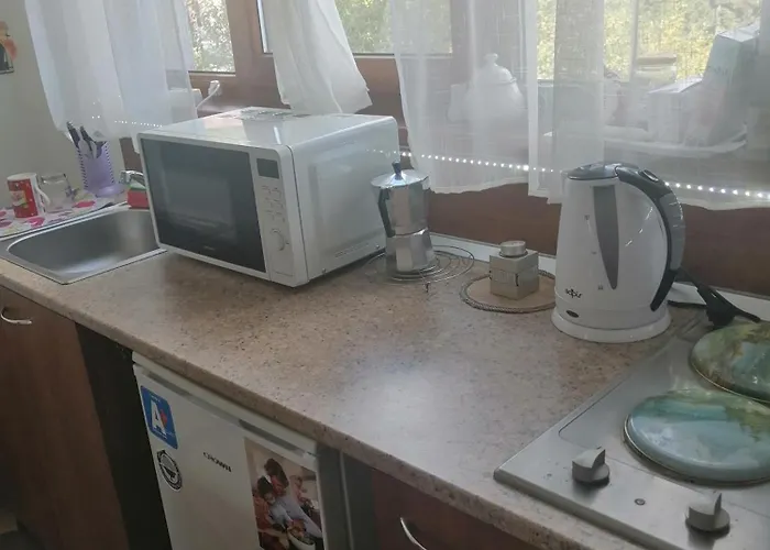 апартамент,студио милка 17,в х росица, за и туризъм,целогодишно *