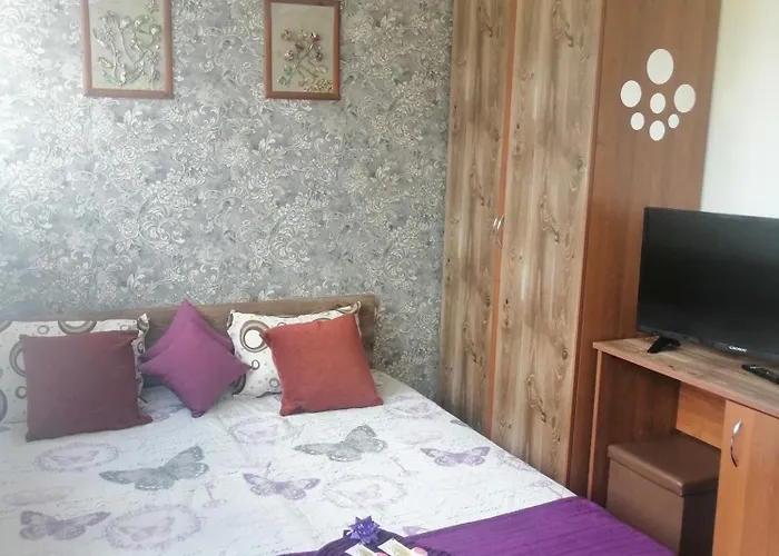 апартамент,студио милка 17,в х росица, за и туризъм,целогодишно Pamporovo