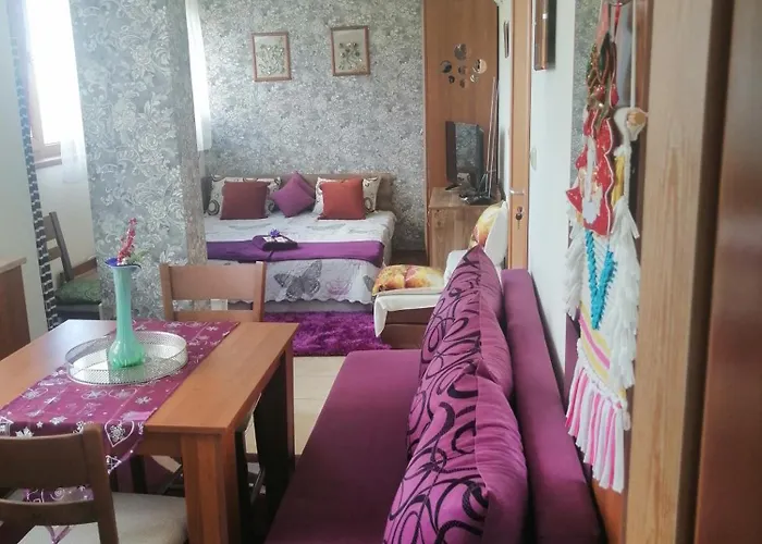 апартамент,студио милка 17,в х росица, за и туризъм,целогодишно * Pamporovo