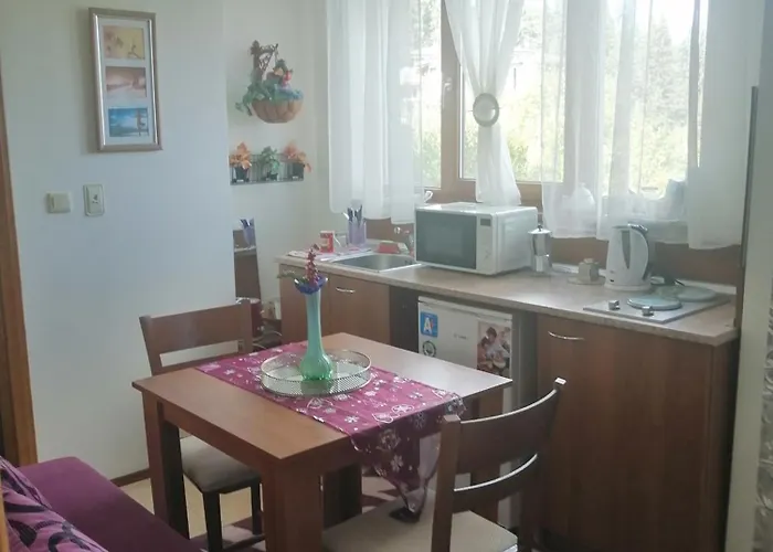 Lägenhet апартамент,студио милка 17,в х росица, за и туризъм,целогодишно