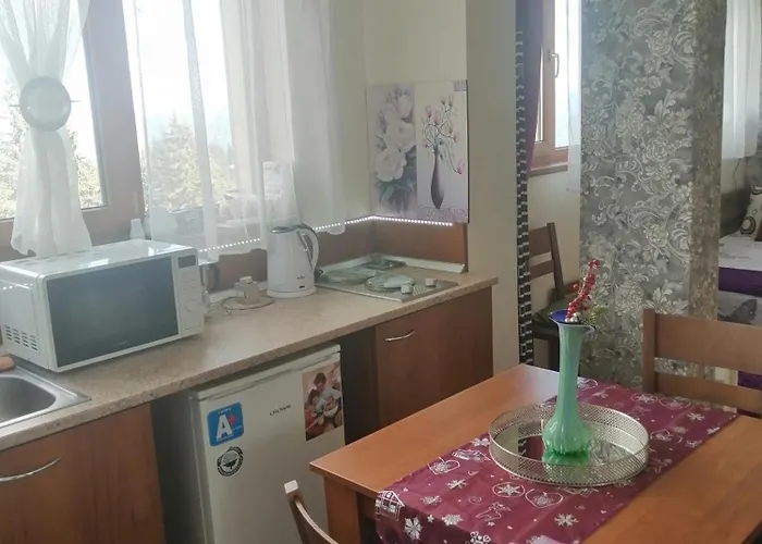 апартамент,студио милка 17,в х росица, за и туризъм,целогодишно Pamporovo