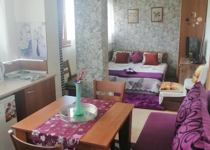 апартамент,студио милка 17,в х росица, за и туризъм,целогодишно