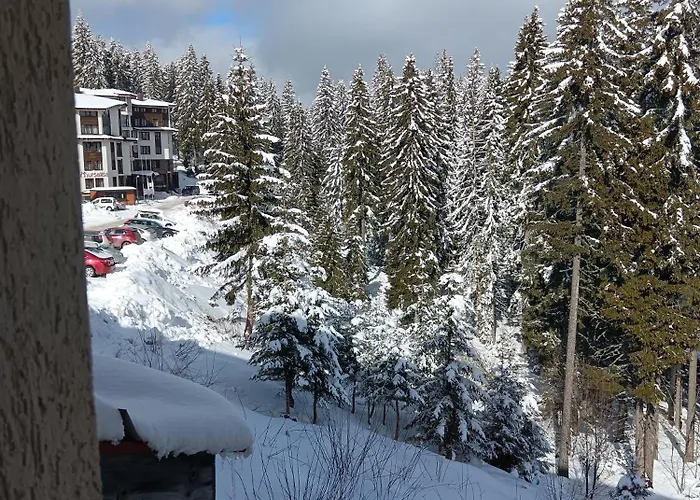 Lägenhet апартамент,студио милка 17,в х росица, за и туризъм,целогодишно *