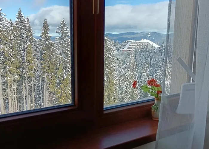 апартамент,студио милка 17,в х росица, за и туризъм,целогодишно * Pamporovo