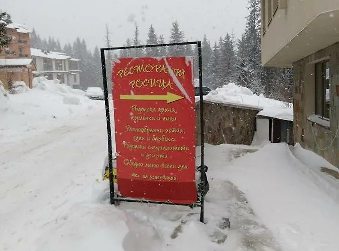 Lägenhet апартамент,студио милка 17,в х росица, за и туризъм,целогодишно