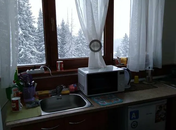 апартамент,студио милка 17,в х росица, за и туризъм,целогодишно Lägenhet *