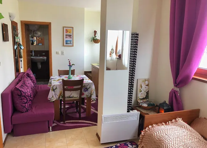 Lägenhet апартамент,студио милка 17,в х росица, за и туризъм,целогодишно