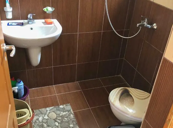 апартамент,студио милка 17,в х росица, за и туризъм,целогодишно * Pamporovo