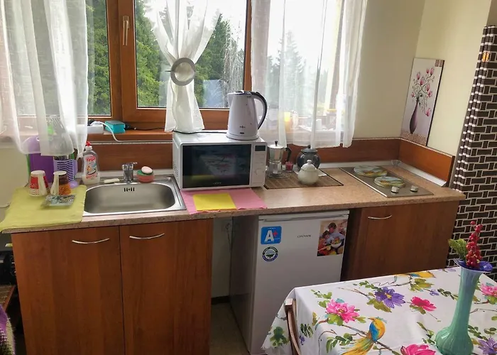 апартамент,студио милка 17,в х росица, за и туризъм,целогодишно * Pamporovo