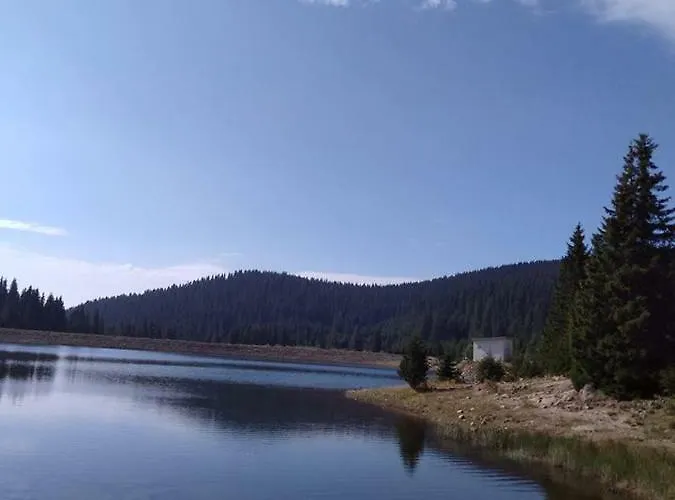 апартамент,студио милка 17,в х росица, за и туризъм,целогодишно * Pamporovo